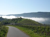 Willersbach via Borgasse