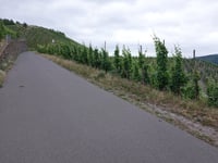 Willersbach da Kinheim
