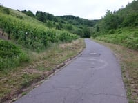 Willersbach da Kinheim