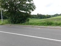 Willibrordstrasse von Thiergarten