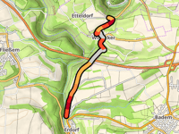 Wilsecker Linde z Erdorf