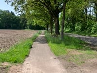 Wilsumer Strasse von Wilsum