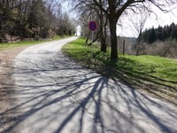 Windgensknipp