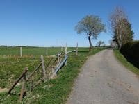 Windgensknipp