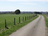 Windgensknipp