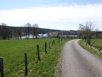 Windgensknipp