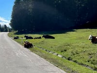 Windische Höhe von Feistritz an der Drau