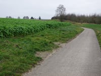 Windrakerberg von Sittard
