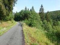 Winterberg von Züschen über Linspher Radweg
