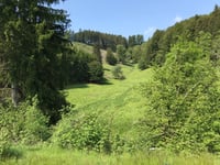 Winterberg von Züschen über Linspher Radweg