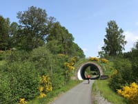 Winterberg von Züschen über Linspher Radweg