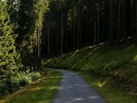 Winterberg von Züschen über Linspher Radweg