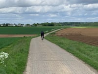 Wintrakerpaadje von Wintraak