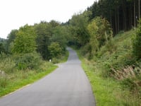 Wintzen da Olef