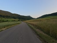 Wisen da Zeglingen