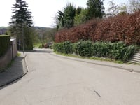 Witteweg über Ingbergrachtweg