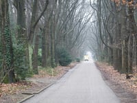 Woestduin von Doorn