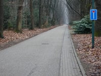 Woestduin von Doorn