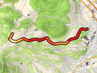 Wolberg da Frick via Neuhof