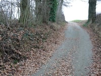 Wolfhagen
