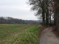 Wolfhagen