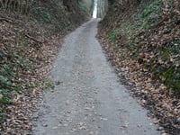 Wolfhagen