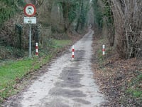 Wolfhagen