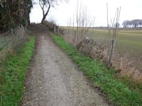 Wolfhagerbos desde Oirsbeek