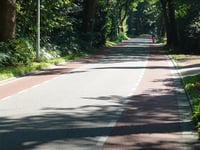 Wolfhezerweg from Wolfheze