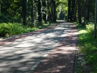 Wolfhezerweg from Wolfheze