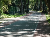 Wolfhezerweg from Wolfheze