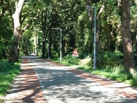 Wolfhezerweg from Wolfheze