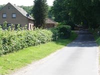 Wolfsbergstrasse von Nütterden