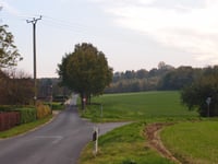 Wolfsbergstrasse von Nütterden