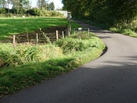 Wolfsheide przez Kesselweg