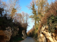 Wonck