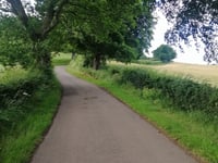 Woodriffe Road von Pleasance