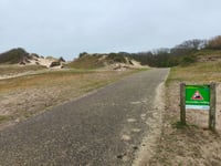 Woudweg z Bergen aan Zee