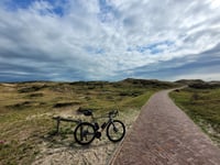 Woudweg da Bergen aan Zee