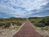 Woudweg da Bergen aan Zee