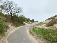 Woudweg von Egmond aan den Hoef