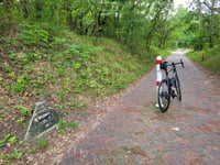 Woudweg von Egmond aan den Hoef