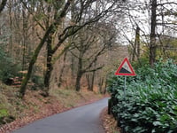 Wupperberg von Rödel