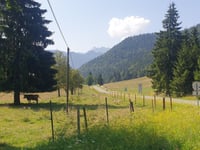 Wurzenpass von Riegersdorf