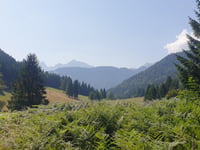 Wurzenpass von Riegersdorf