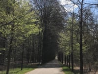 Wykerweg von Maarsbergen