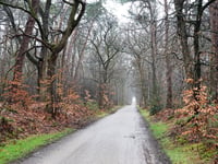 Wykerweg desde Maarsbergen