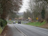 Wyler von Vogelsang