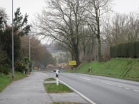 Wyler von Vogelsang
