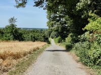 Wynesfeld